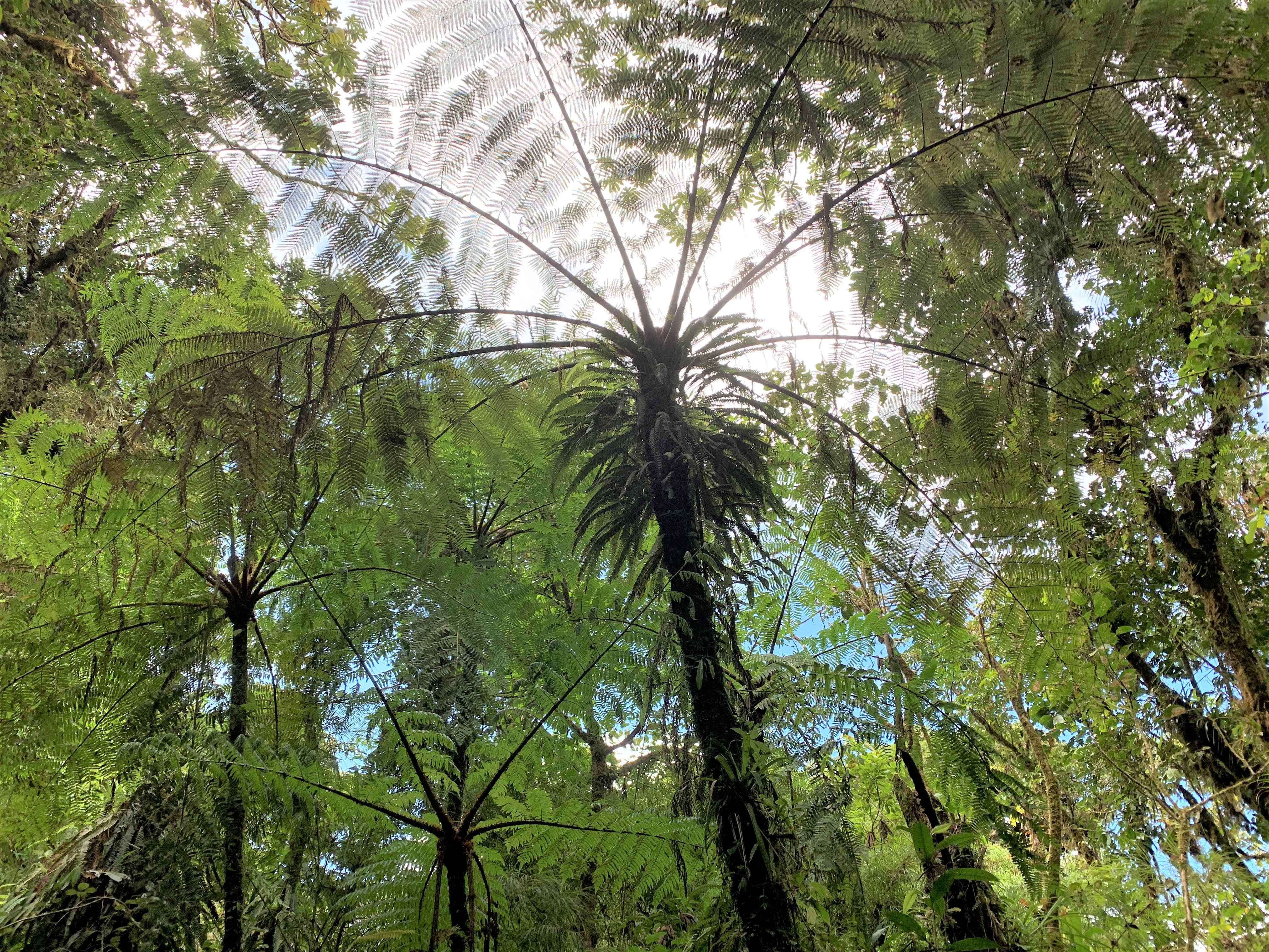 Costa Rica